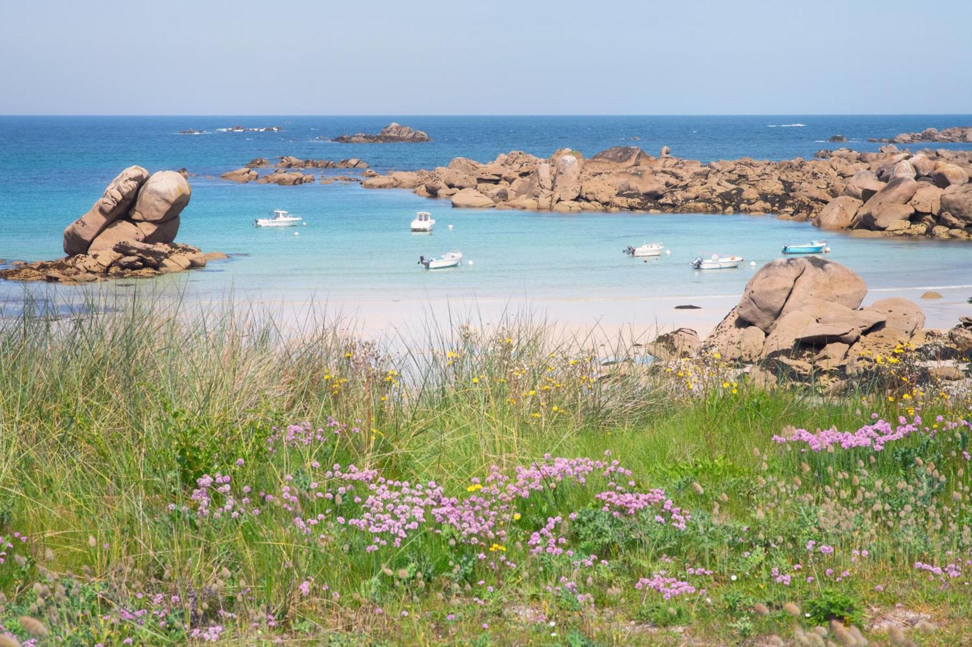 Maison Yukti - Magnifique Maison De Charme Proche Plage Lampaul-Ploudalmézeau Eksteriør billede